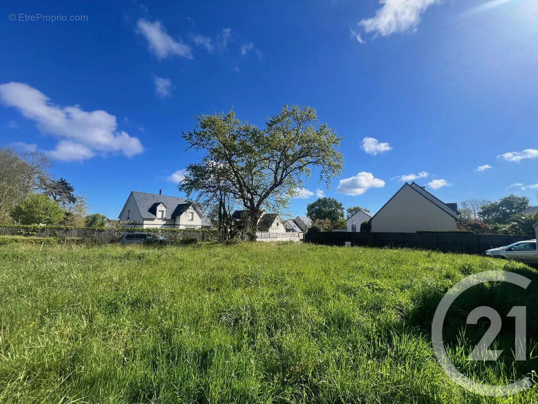 Terrain à SAINT-BRIAC-SUR-MER