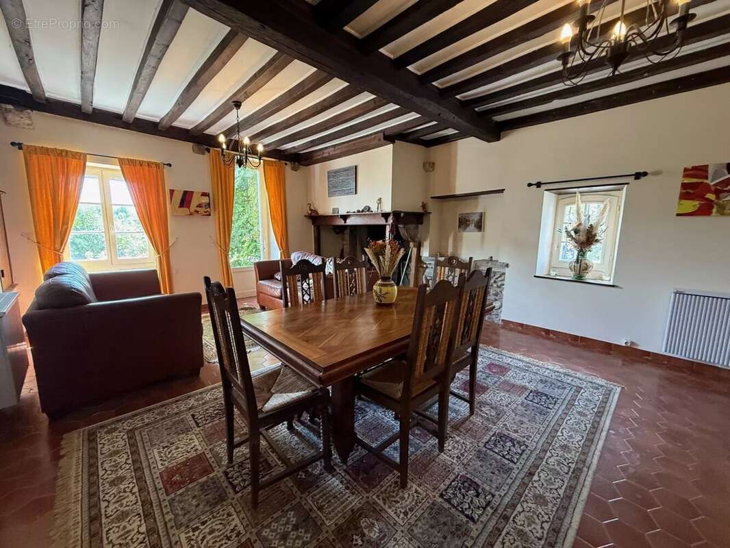Belle maison de village avec gîte indépendant et 6500m² de parc - photo 3