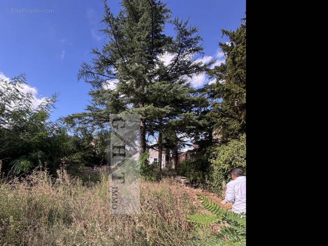 Terrain à VILLECRESNES