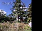 Terrain à VILLECRESNES