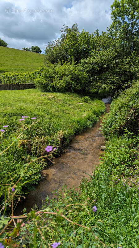 Maison à CHATEAU-CHINON(CAMPAGNE)