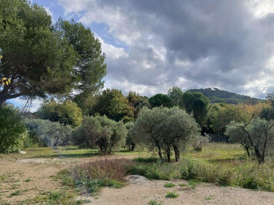 Terrain à VENTABREN