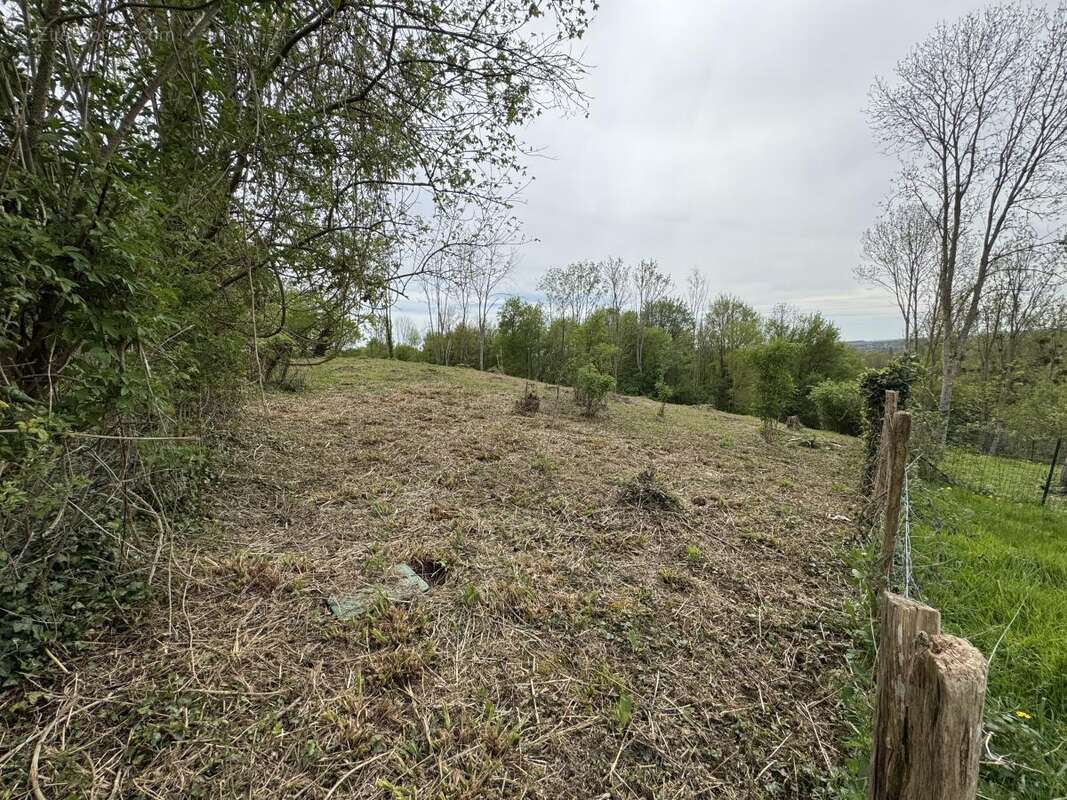 Terrain 1673 m² à Le Mesnil-Simon  - photo 7
