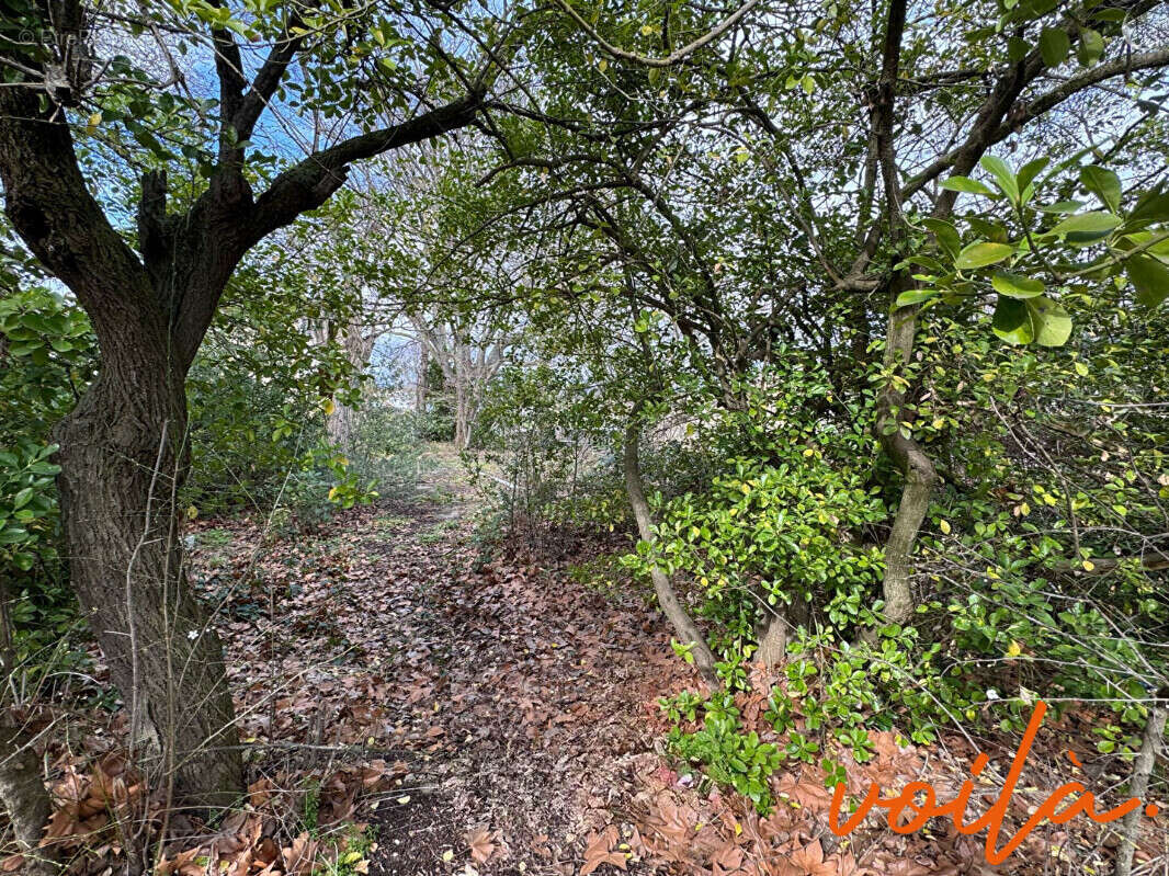 Maison à CARCASSONNE