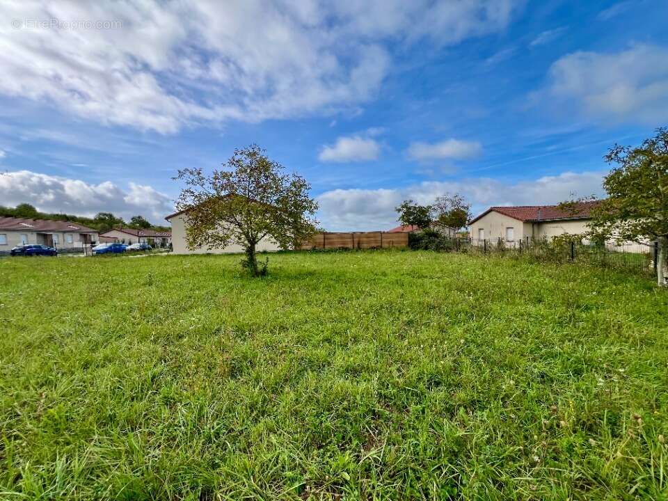 Terrain 775 m² à Coligny  - photo 3