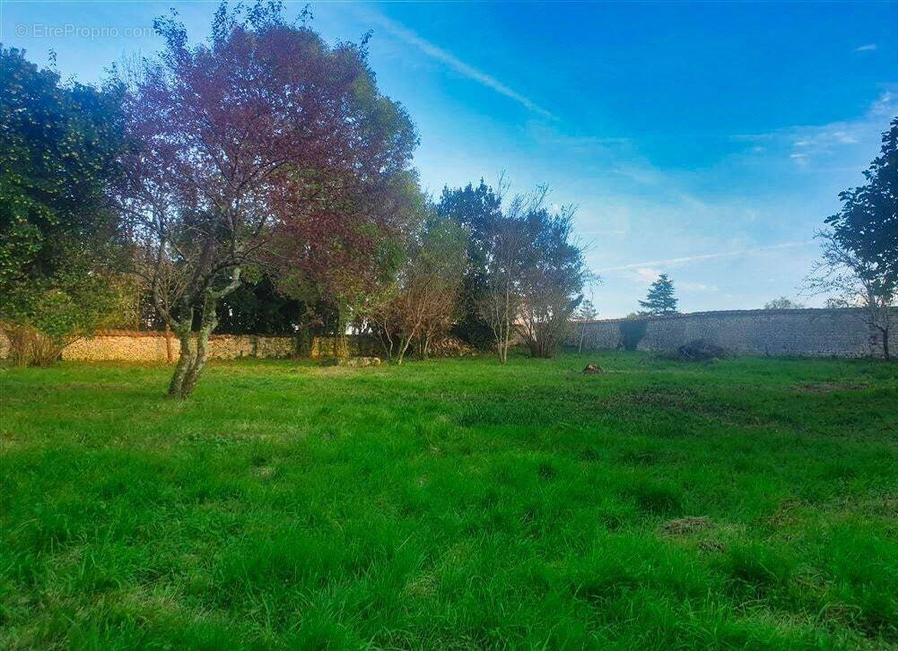 Terrain à CHAMPNIERS