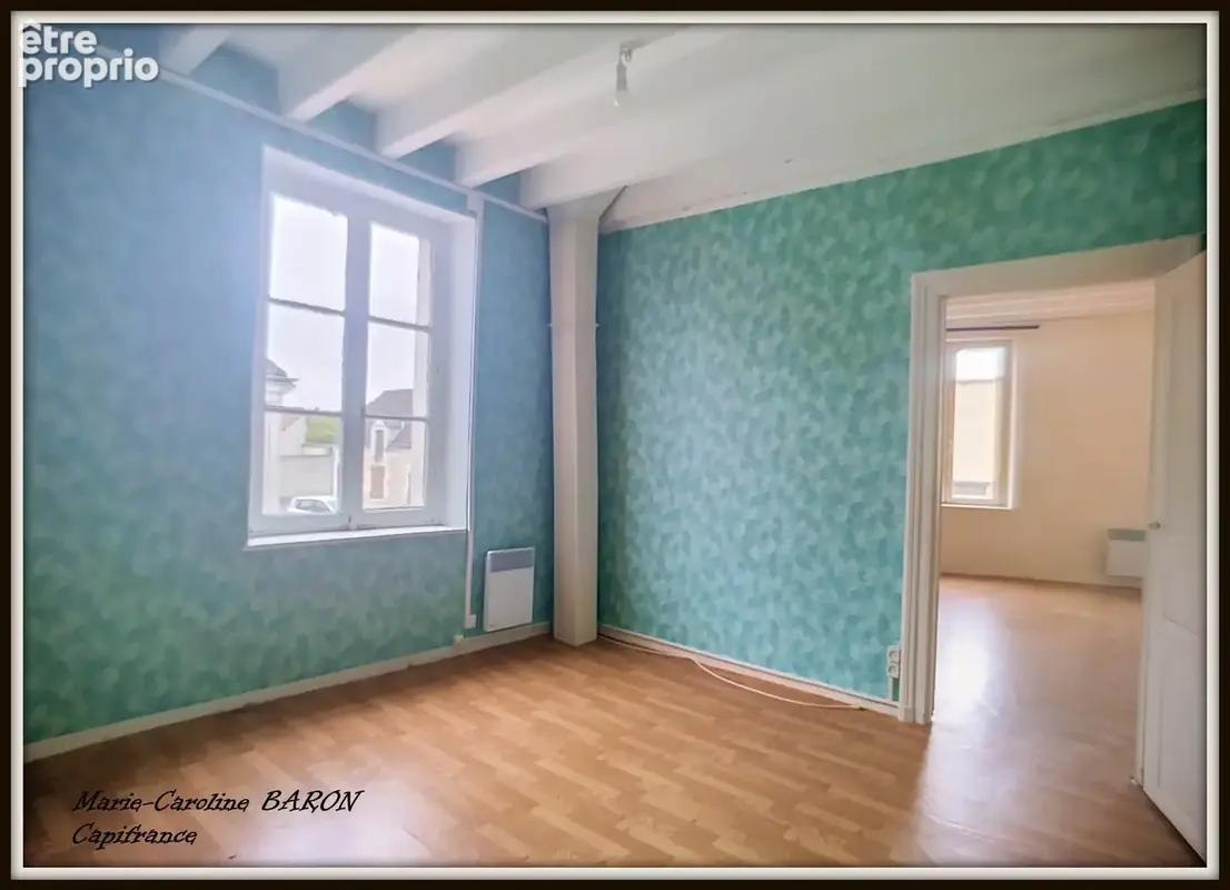 Immeubles pour investissement  BUZANCAIS (36) - photo 3