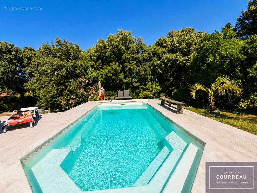 Villa plain-pied avec piscine et grand terrain à Beaulieu - photo 4