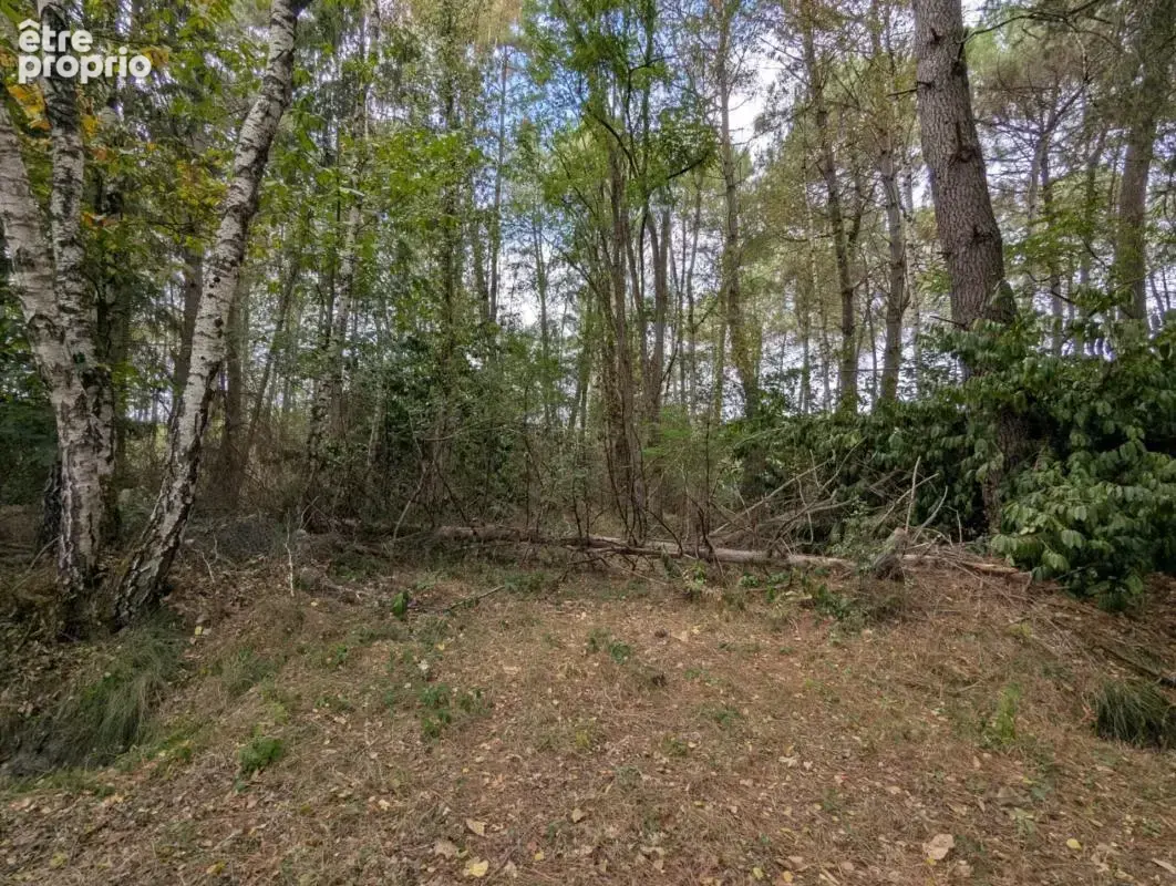 Terrain à vendre de 2 187,00 m² MEZERAY (72) - photo 8