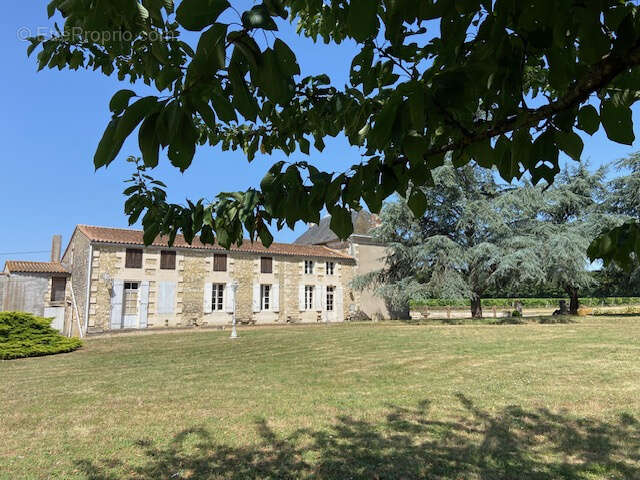 COZES Ancienne propriété viticole 305 m2 habitables 7 chambres 17 pièces au total - photo 3