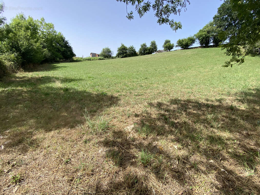 Terrain à SAUVELADE