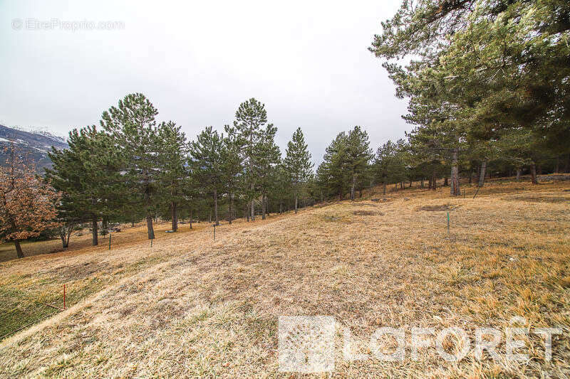 Terrain à EMBRUN