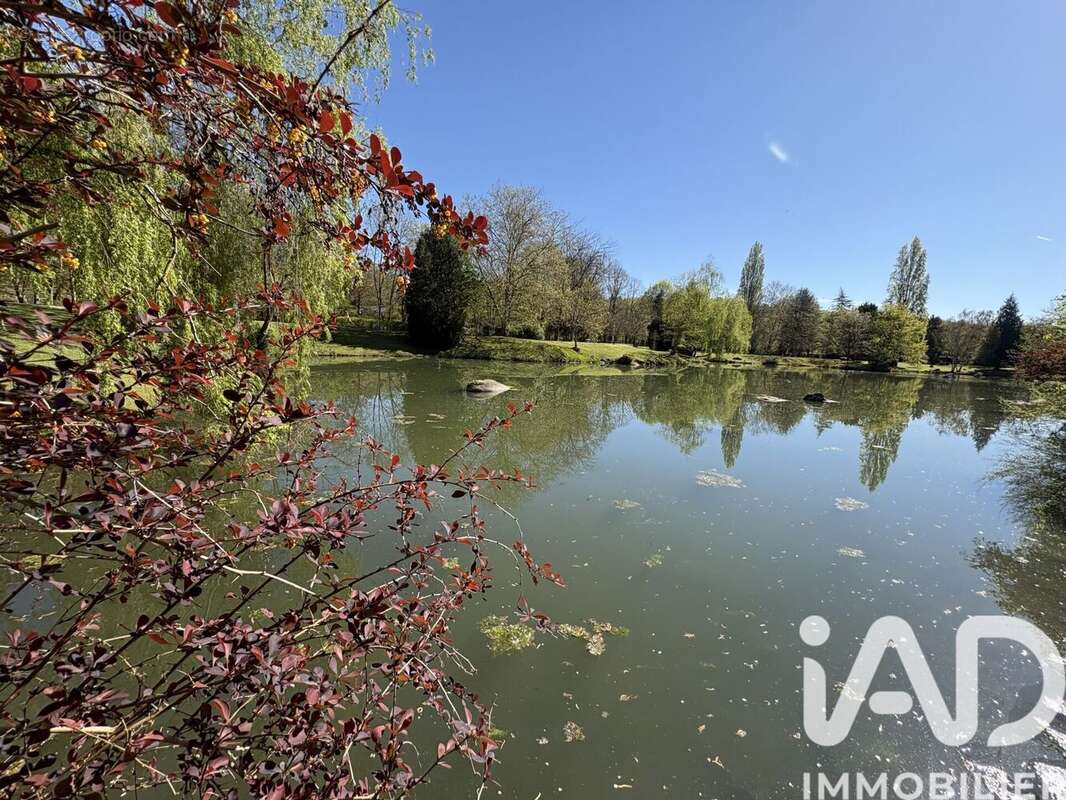 Photo 9 - Maison à SAINT-FARGEAU-PONTHIERRY