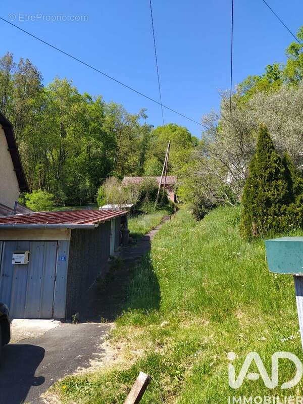 Photo 6