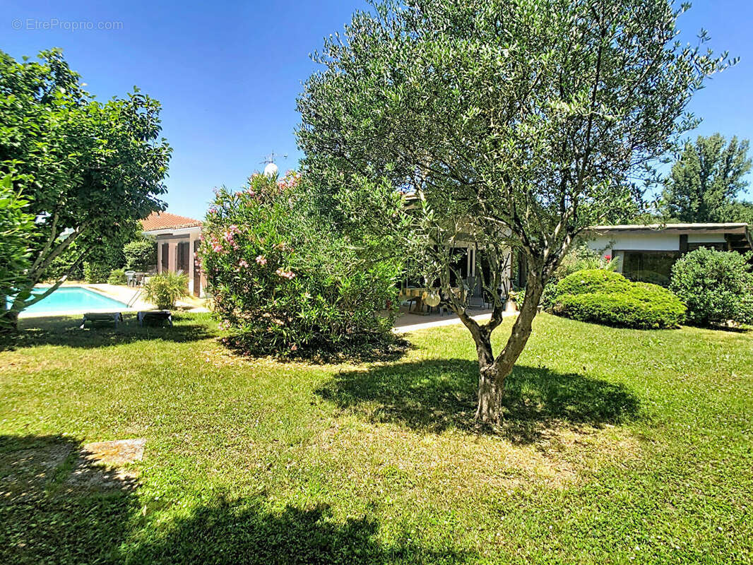 Maison à QUINT-FONSEGRIVES