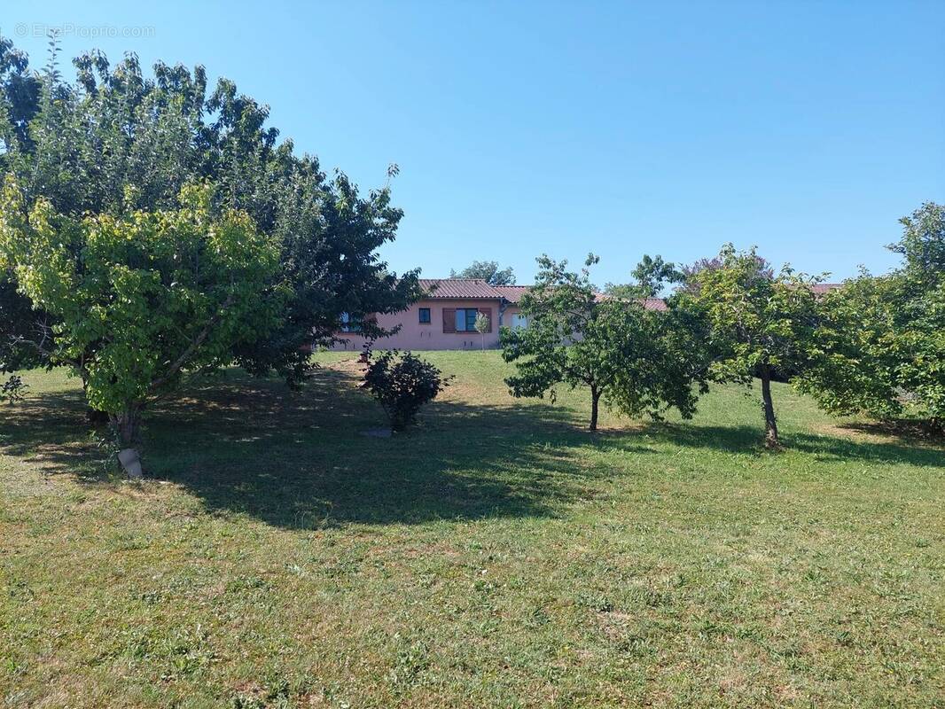 Coteaux Carbonne 31 , Villa sur 2155m² de terrain avec garage - photo 15
