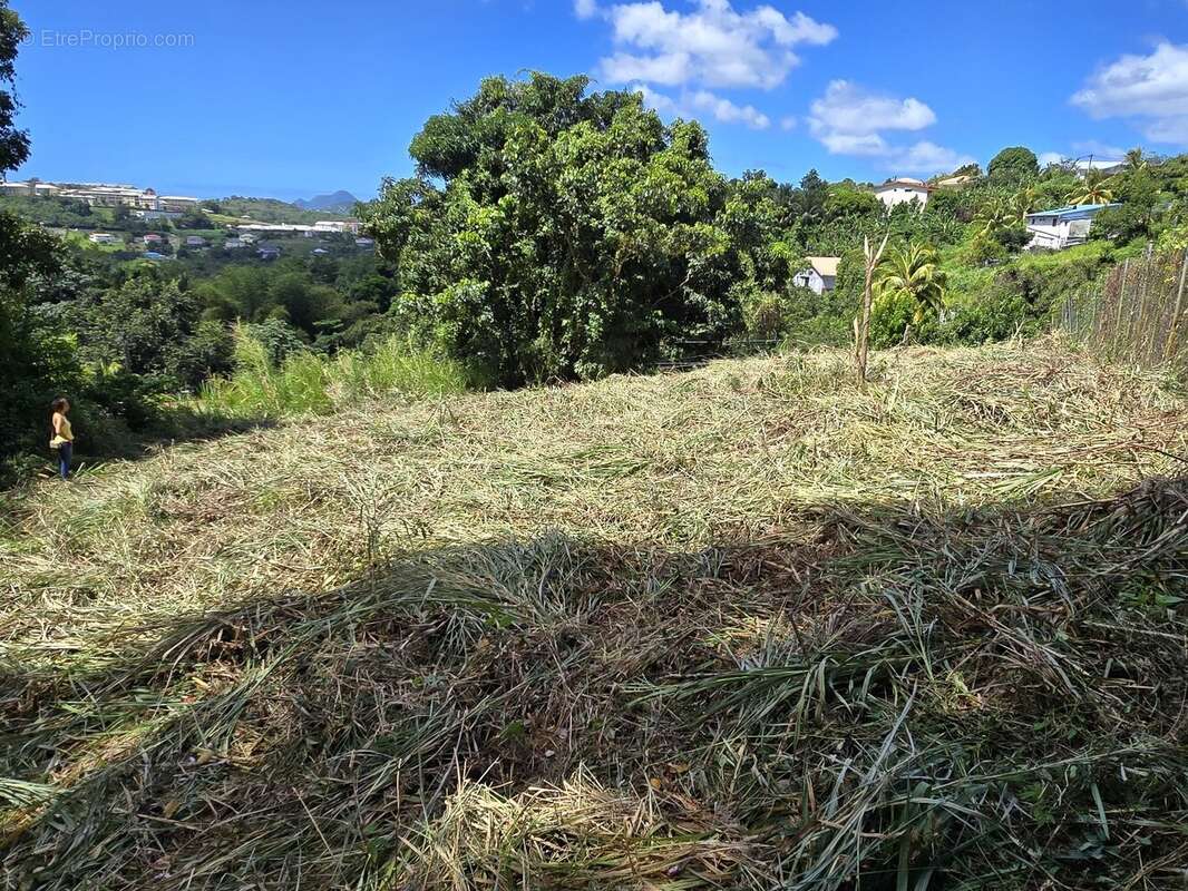 Terrain à RIVIERE-SALEE