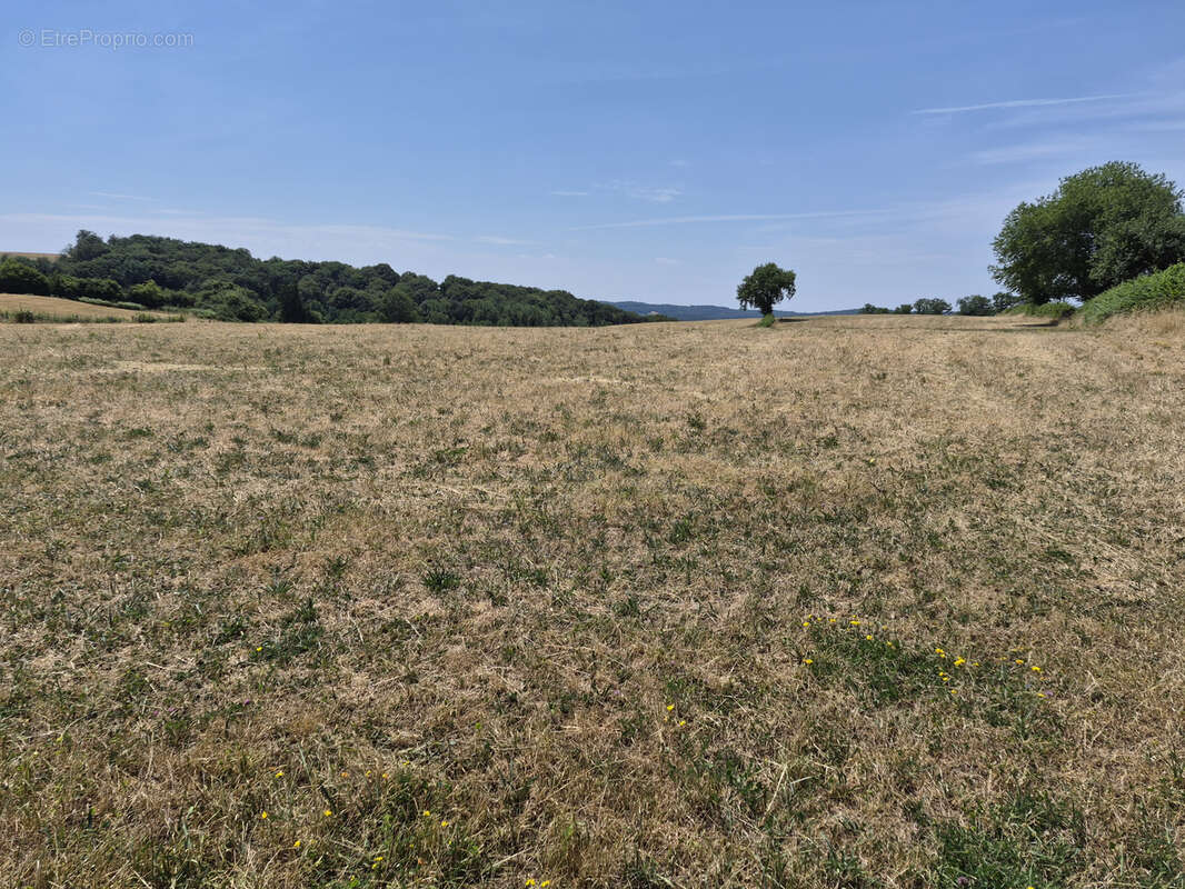 Terrain à BRASSY