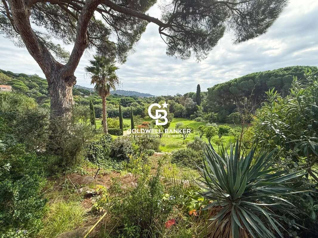 Maison à LE LAVANDOU