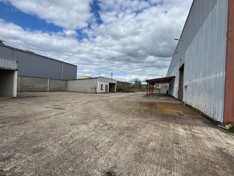 Commerce à CASTELCULIER