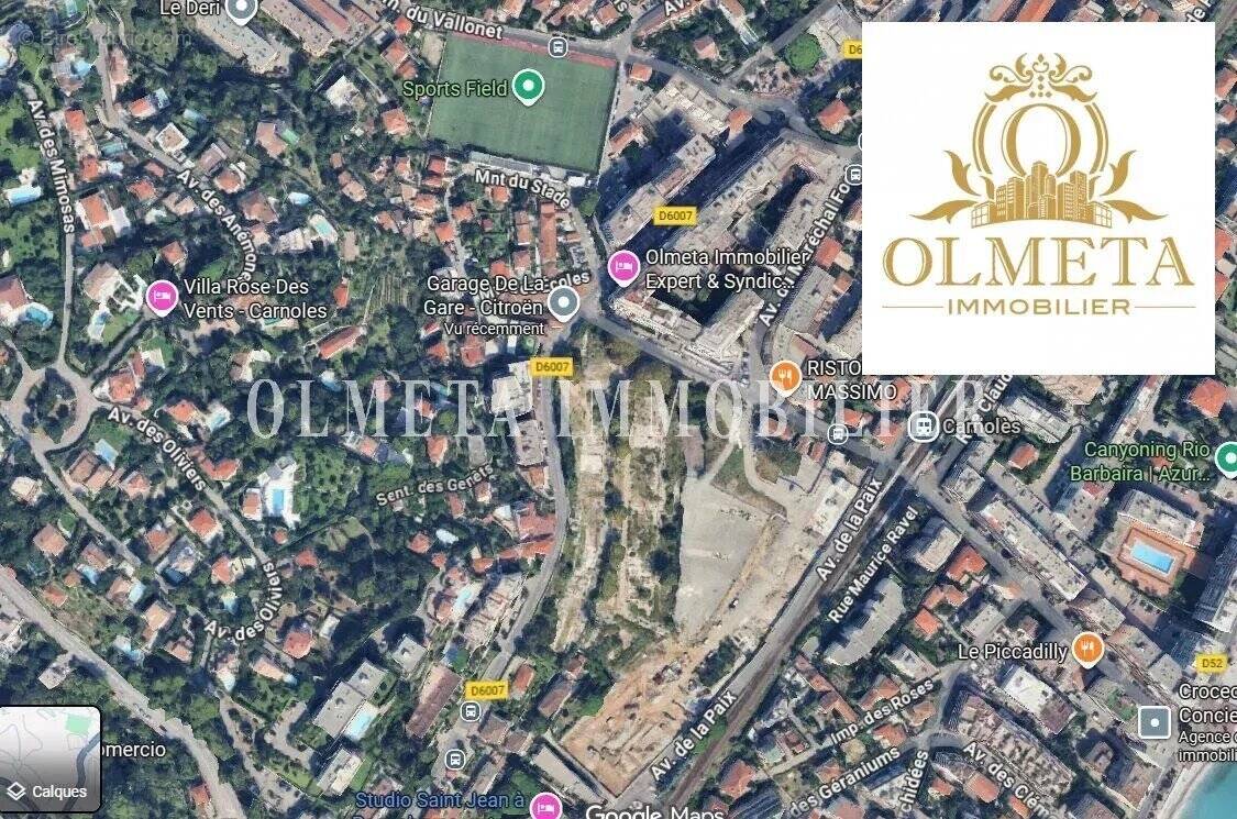 Commerce à ROQUEBRUNE-CAP-MARTIN