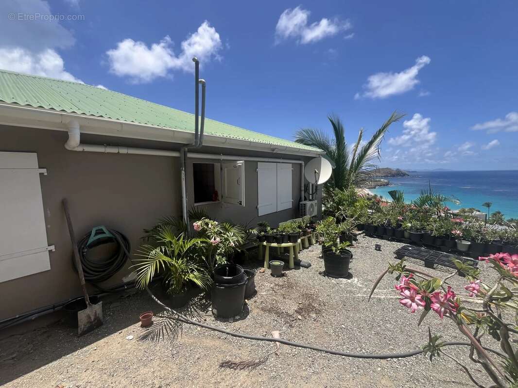 Maison à CAPESTERRE-BELLE-EAU