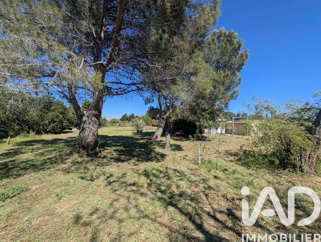 Photo 6 - Terrain à LE SOLER