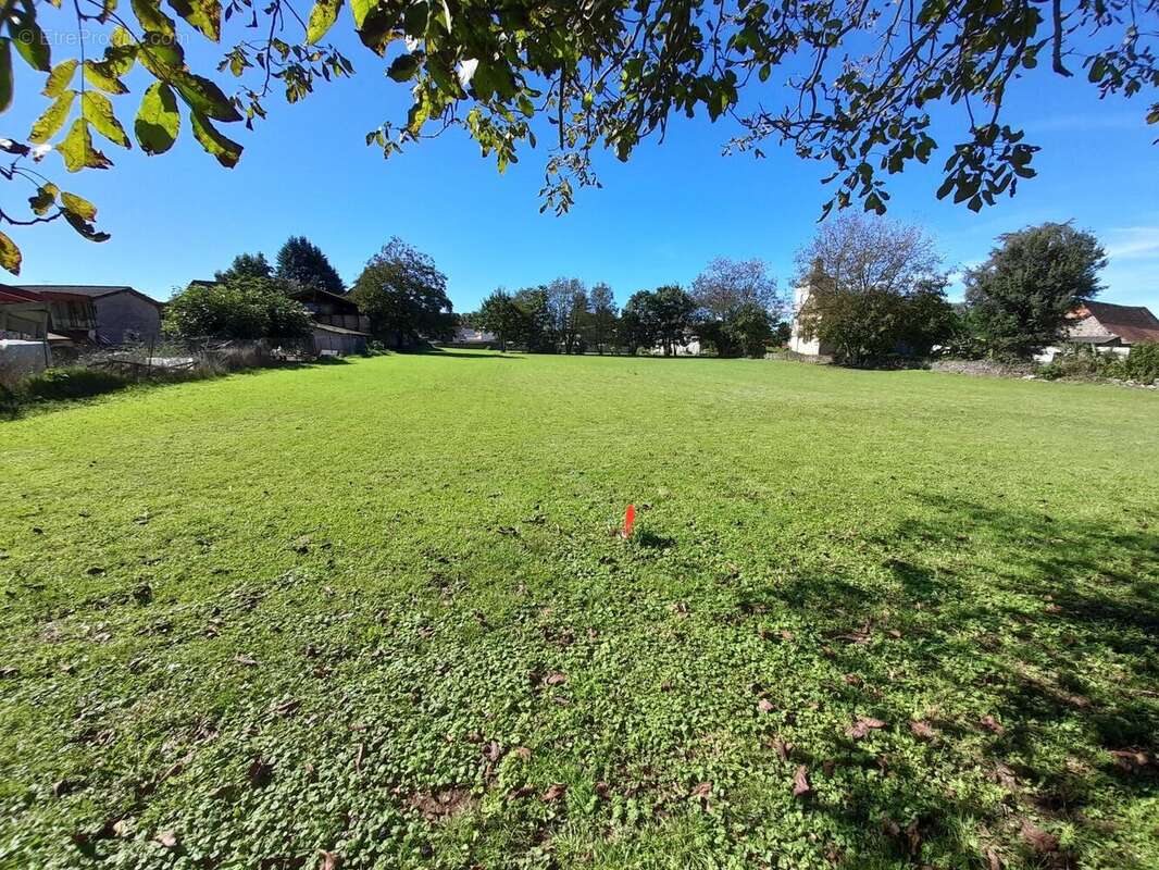 Photo 3 - Terrain à NAVARRENX