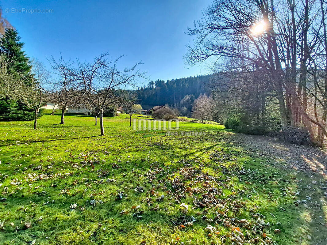 Terrain à XONRUPT-LONGEMER