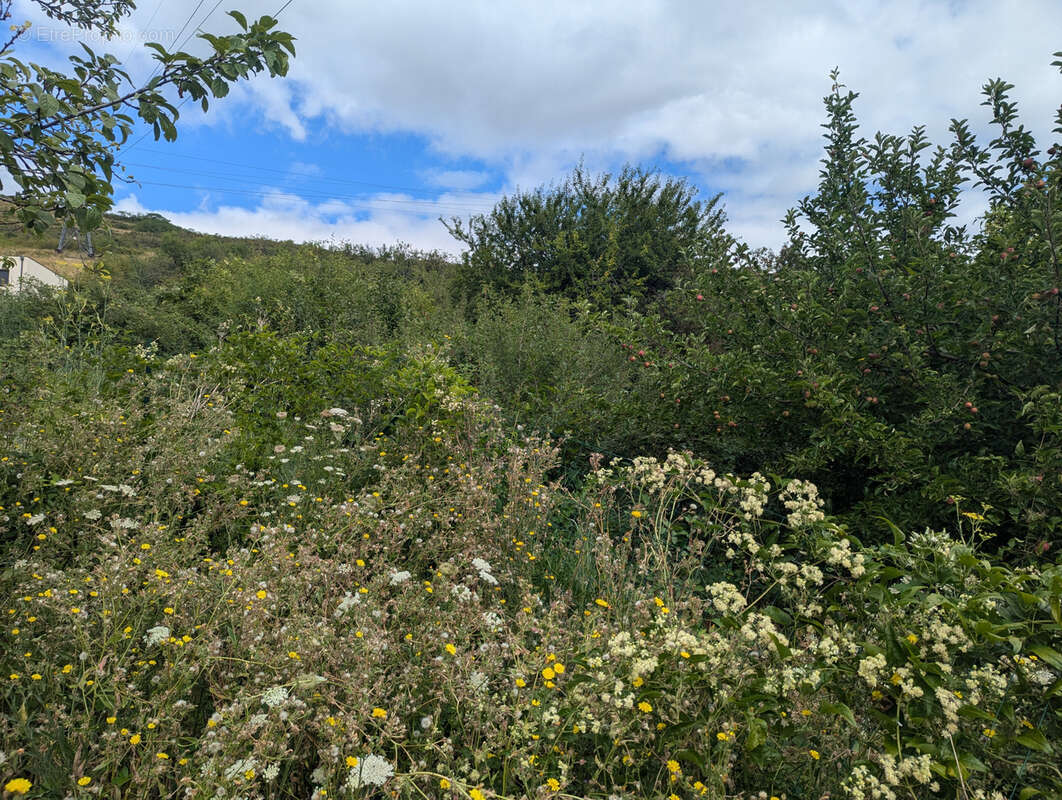 Terrain à CLERMONT-FERRAND