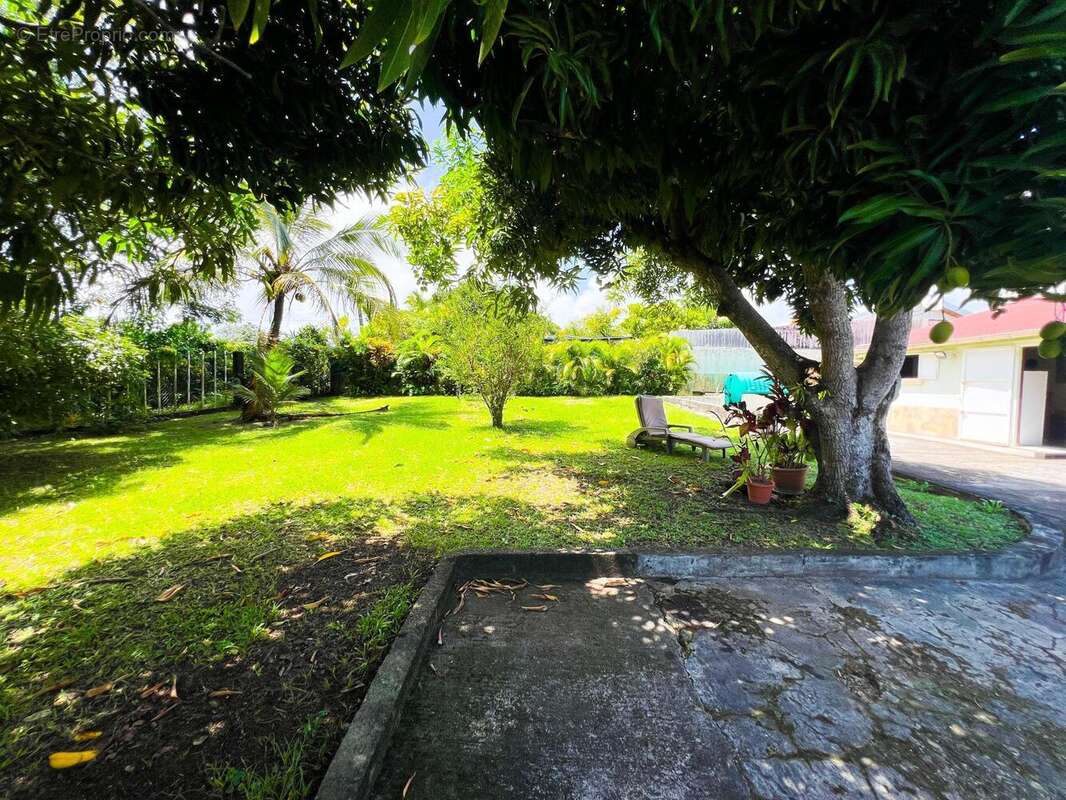 Photo 3 - Maison à LA TRINITE