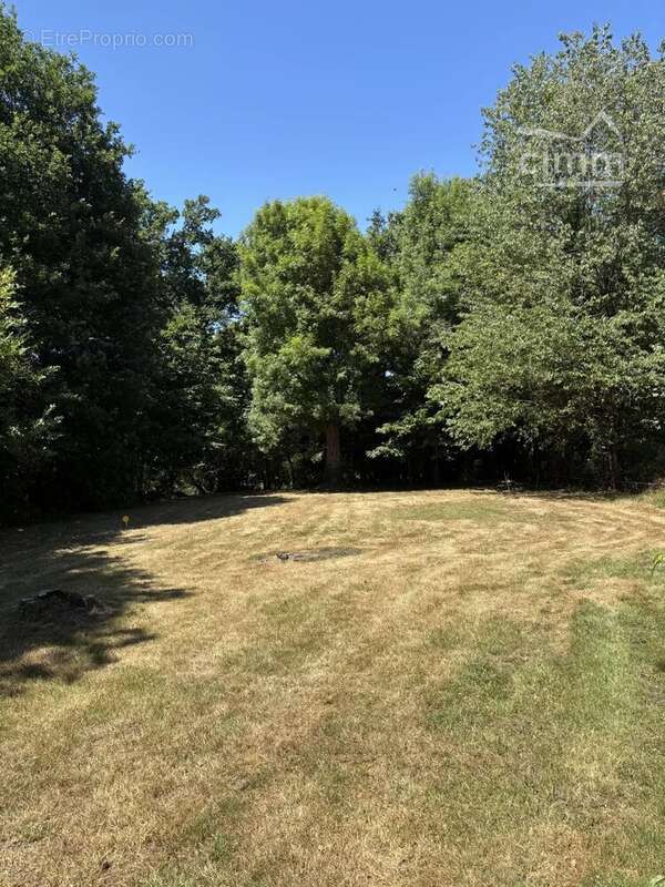 Terrain à LES BRULAIS