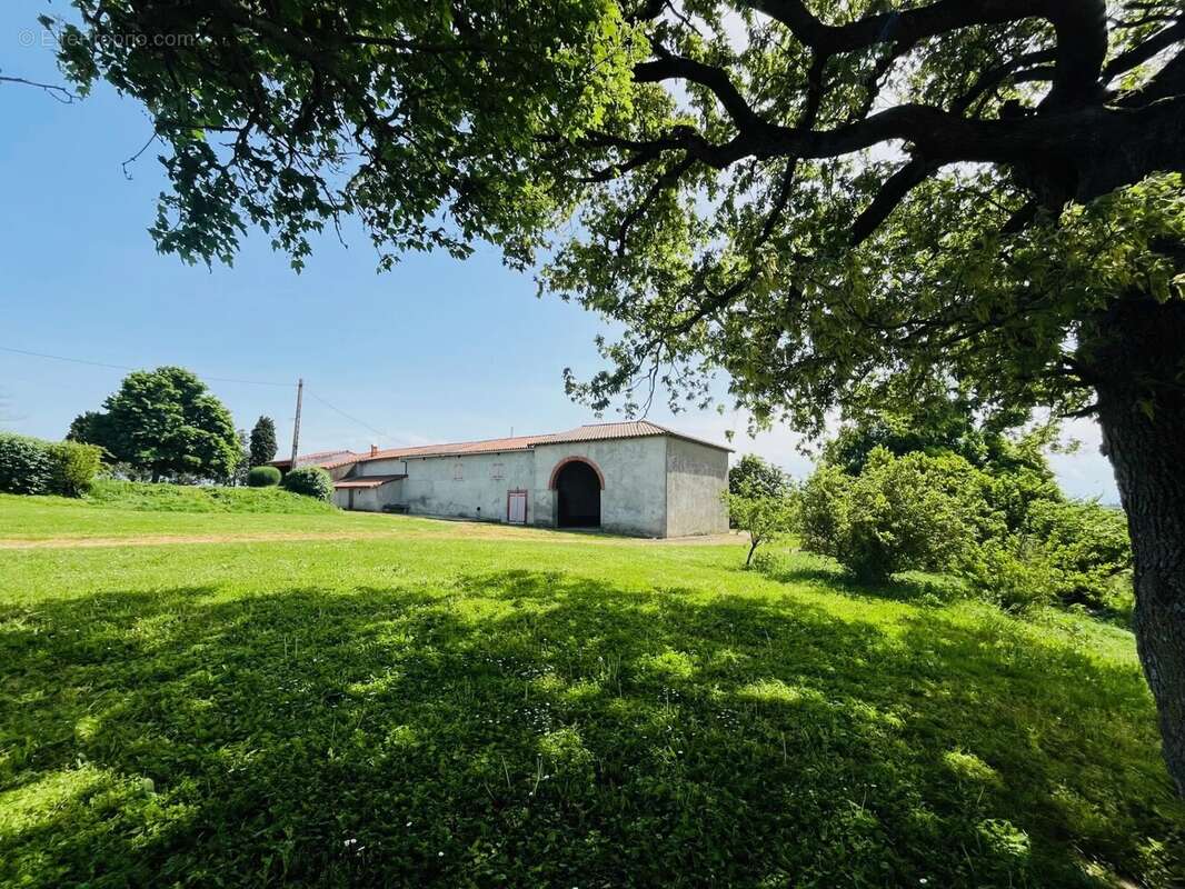 Maison à VILLEFRANCHE-DE-LAURAGAIS