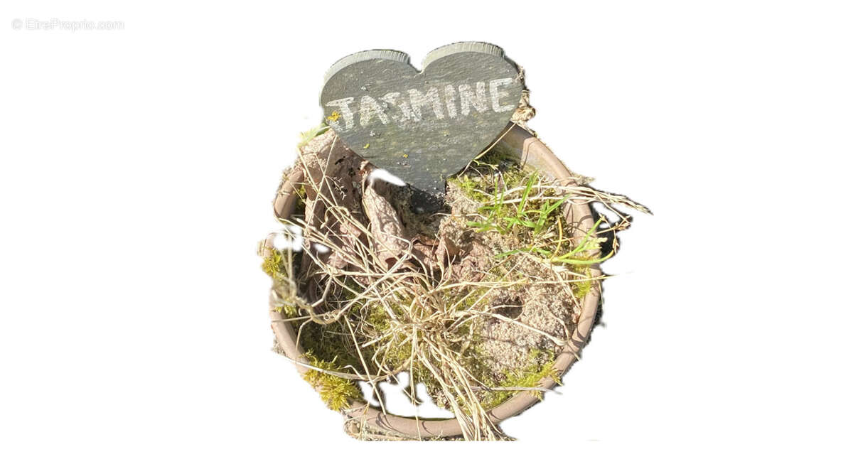 Maison à MORTAGNE-SUR-GIRONDE