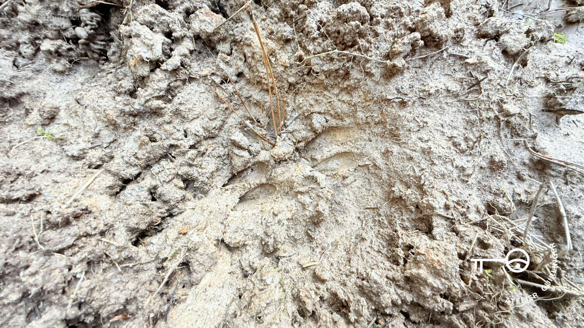 Terrain à NEUNG-SUR-BEUVRON