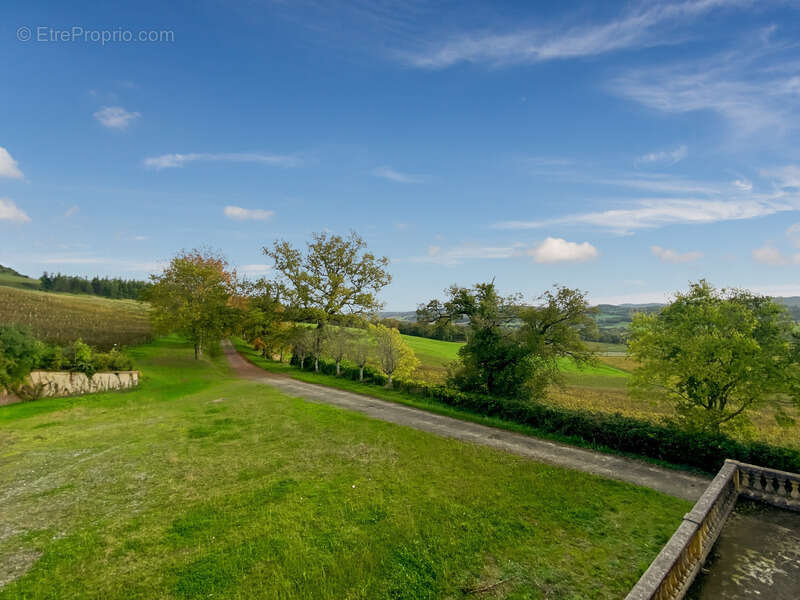 Dpt Gers (32), à vendre Proche de RISCLE château T6 de 327 m² habitables + 580 m² de dépendances attenantes sur 8157 m² de terra - photo 31