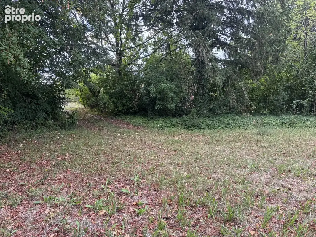 Exclusivite - ferme à gizeux - photo 9