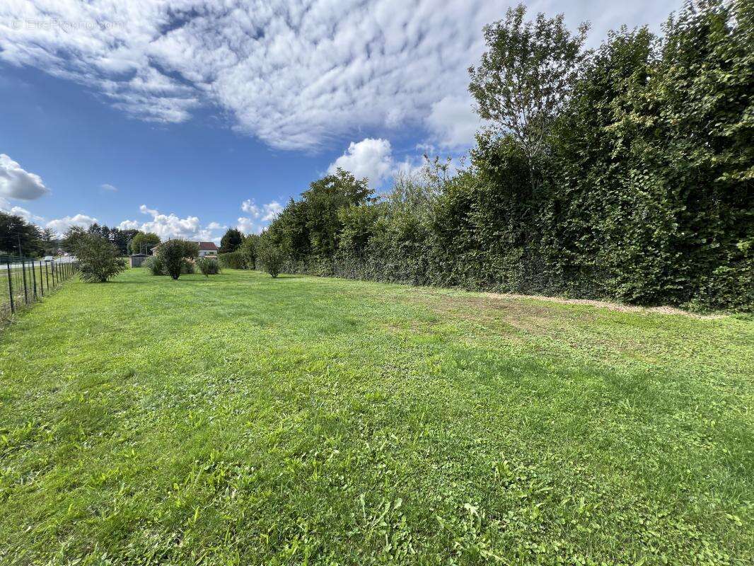 Terrain à BREVILLIERS