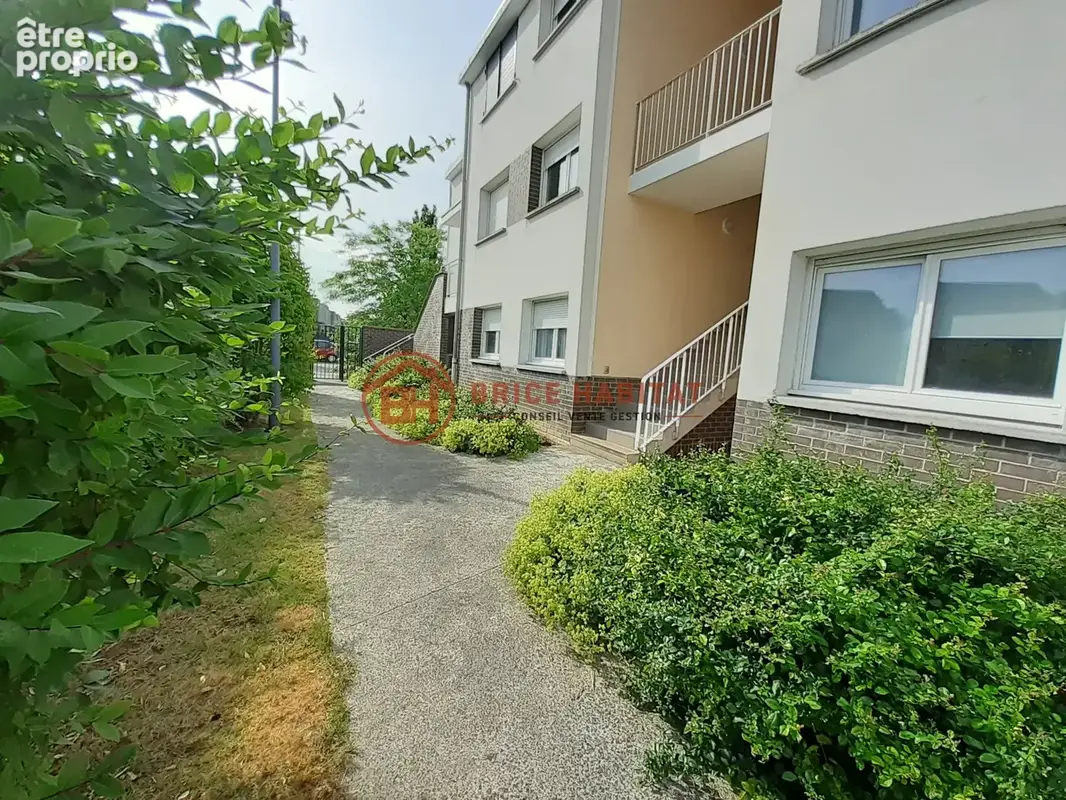 Photo Appartement à Villeneuve-D'ascq au prix de 230 000€