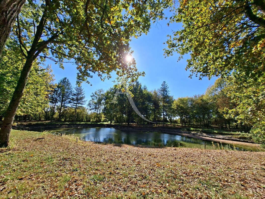 Terrain à VILLEVEQUE