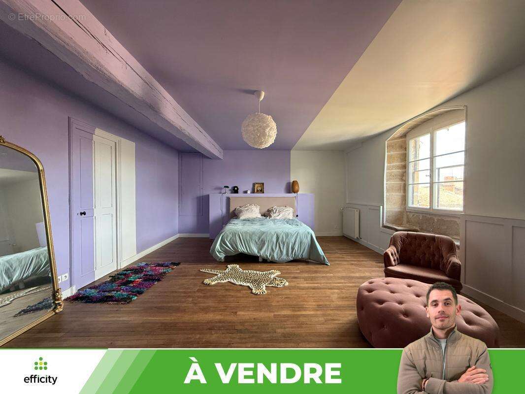 Maison 10 pièces 371 m² à vendre à Availles-Limouzine (86460) - photo 10