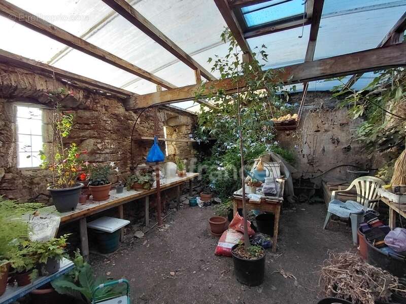 Maison à VIEILLEVIE