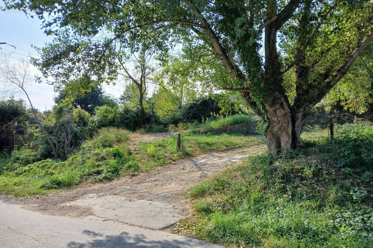 Terrain à REYNES