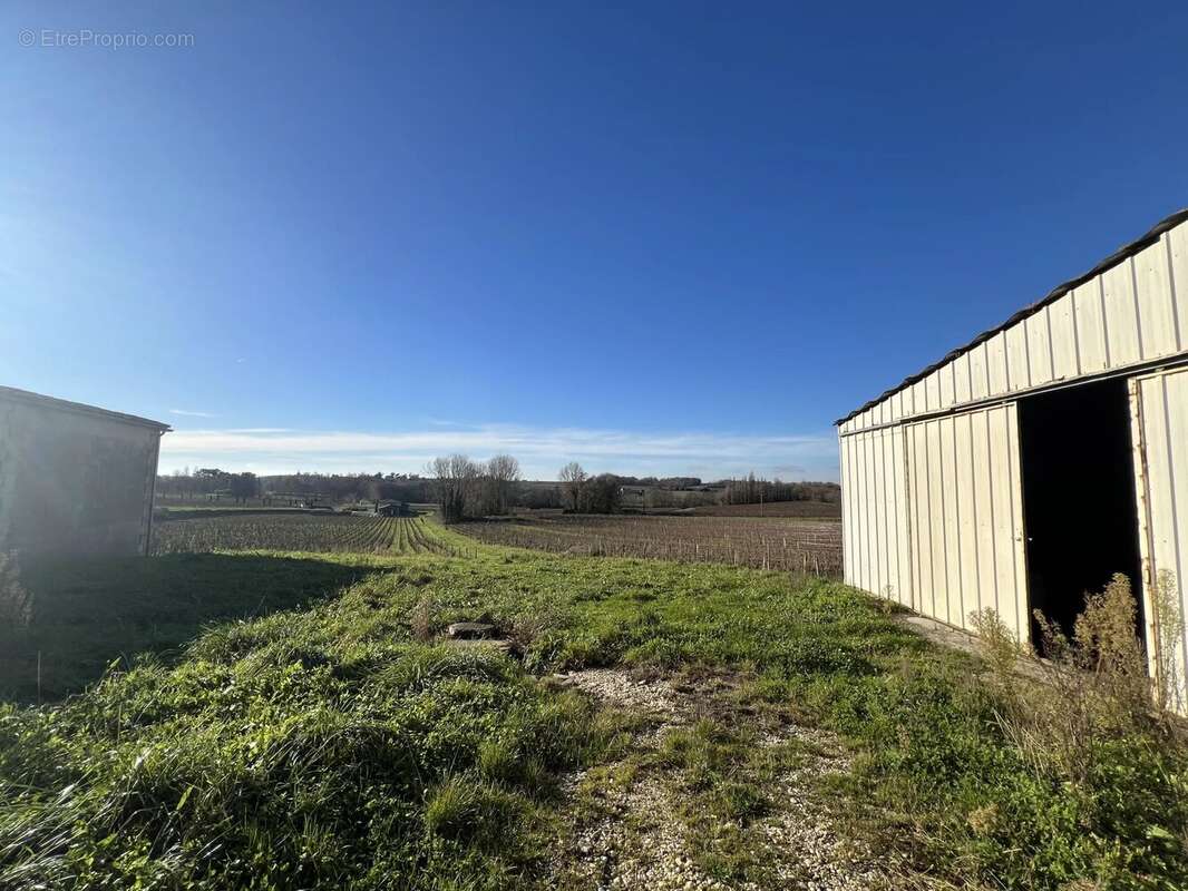 Maison à SAINT-EMILION