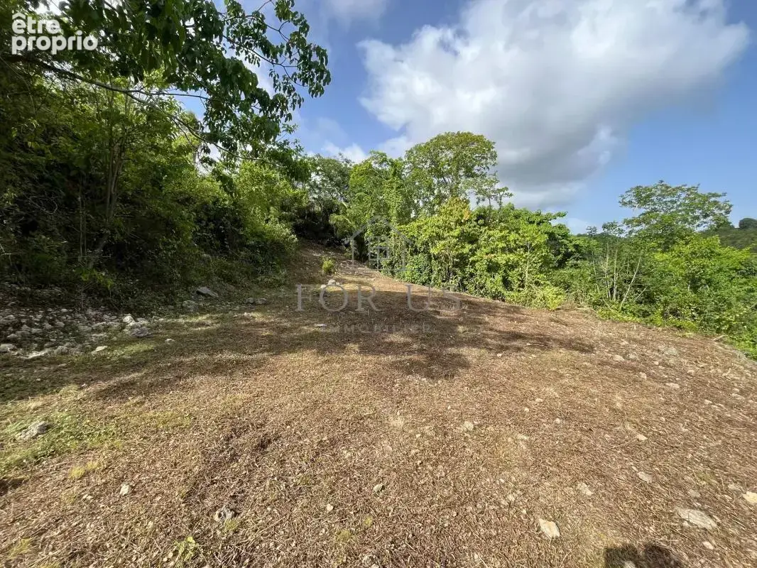 A vendre : terrain de 1072 m² au gosier (97190) - photo 3