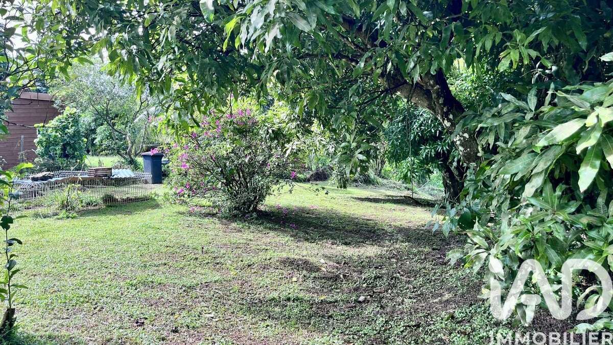 Photo 6 - Maison à RIVIERE-PILOTE