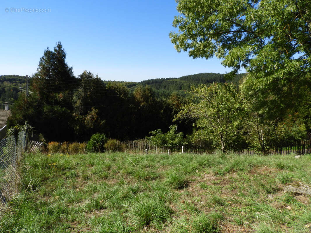 Terrain à SAINT-REMY-SUR-DUROLLE