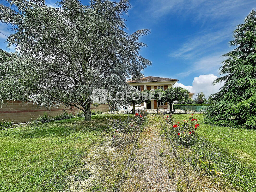 Maison à CASTELSARRASIN