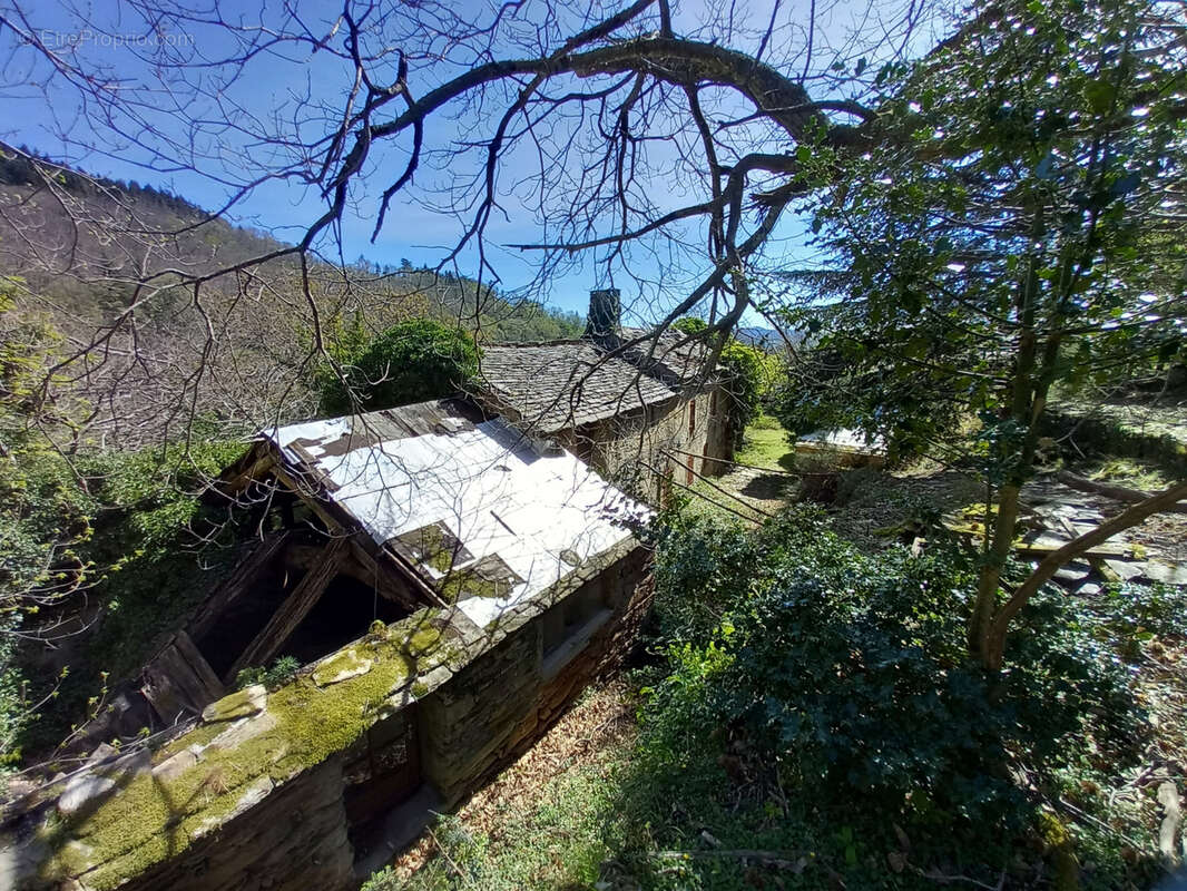 Unique ! ancienne Ferme à rénover sur 15Ha de patures et bois . - photo 7