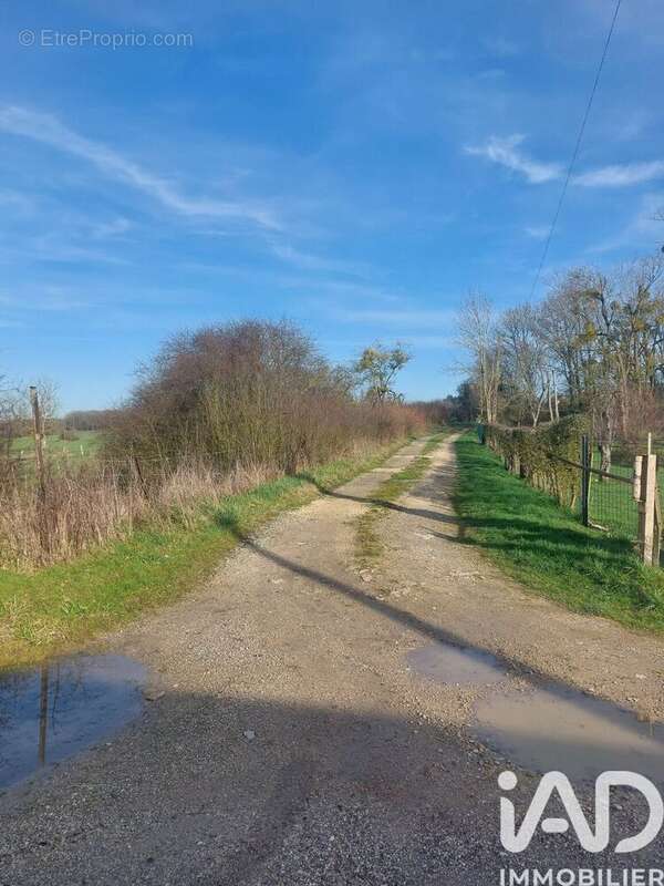 Photo 5 - Terrain à ETAIN